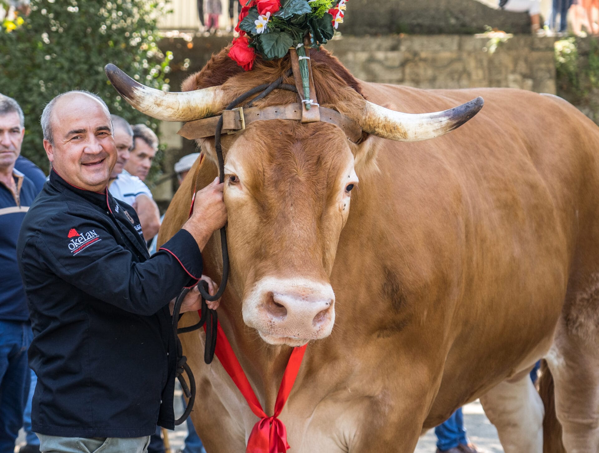 Frame 92 vacas de raza wagyu en Japón