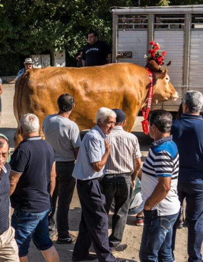 El mejor Minhoto de la historia