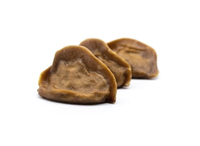 Gyoza_Buey_a_la_parrilla (1)